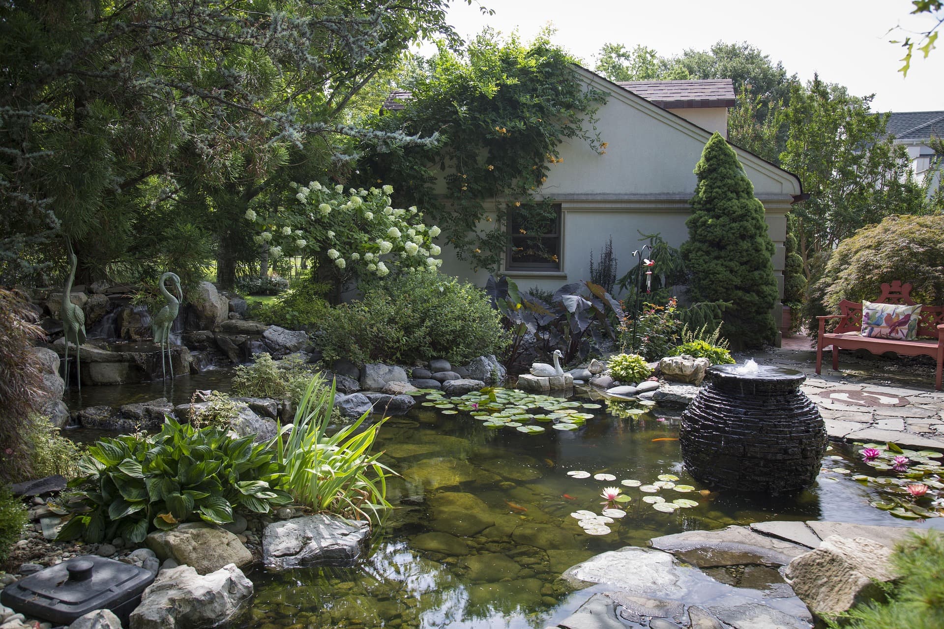 Ecosystem Ponds